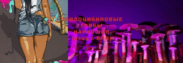 прущий лед Алексеевка