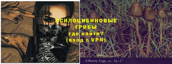 дурь Пролетарск